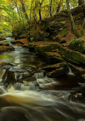 चलना ही जिंदगी है