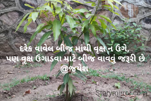 દરેક વાવેલ બીજ માંથી વૃક્ષ ન ઉગે, 
પણ વૃક્ષ ઉગાડવા માટે બીજ વાવવું જરૂરી છે @જયેશ 