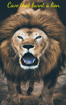 Cave That Burnt A Lion