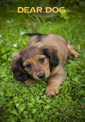 Dear Dog