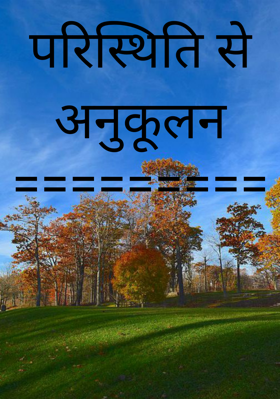 परिस्थिति से अनुकूलन