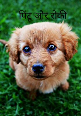 पिंटू और रोकी