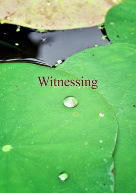 Witnessing