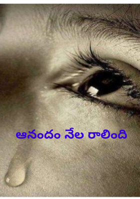 ఆనందం నేల రాలింది