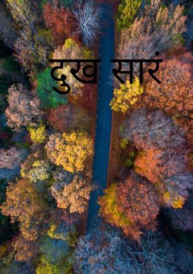 दु:ख सारं