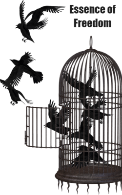 Essence of Freedom