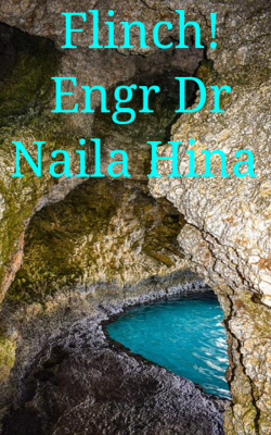 Flinch! Engr Dr Naila Hina