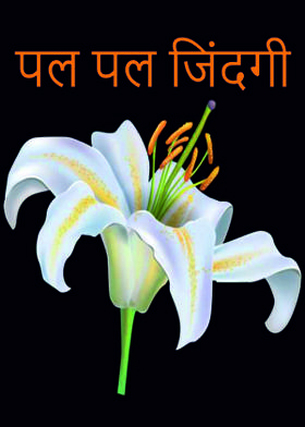 पल पल जिंदगी