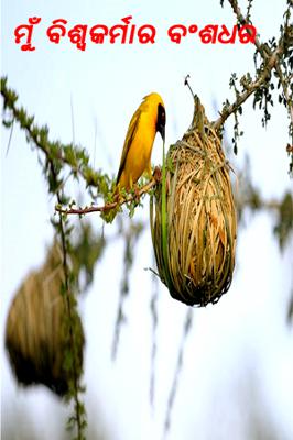 ମୁଁ ବିଶ୍ବକର୍ମାର ବଂଶଧର