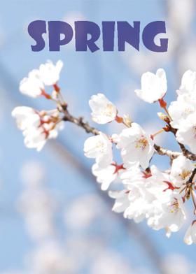 Spring