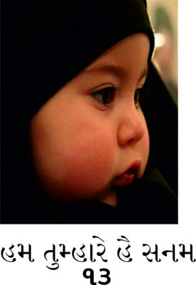 હમ તુમ્હારે હૈ સનમ - ૧૩