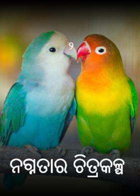 ନଗ୍ନତାର ଚିତ୍ରକଳ୍ପ