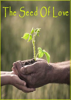 The  Seed Of  Love