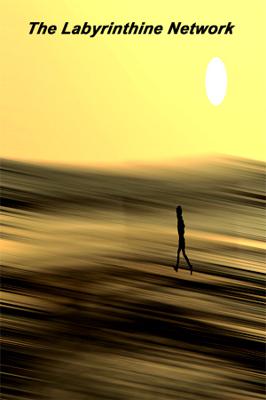 The Labyrinthine Network