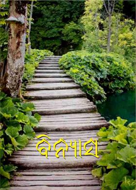 ବିନ୍ୟାସ