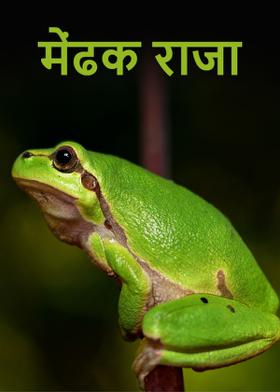 मेंढक राजा ....