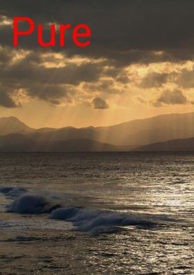 Pure Love
