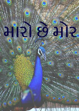 મારો છે મોર