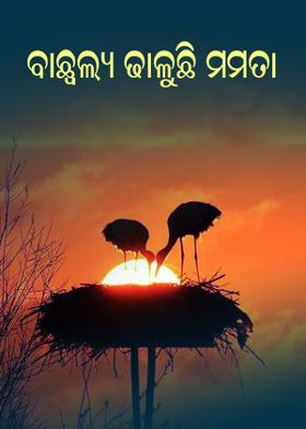 ବାଛ୍ୱଲ୍ୟ ଢାଳୁଛି ମମତା