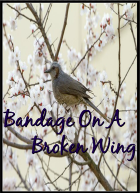 Bandage On A Broken Wing