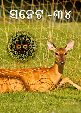 ସନେଟ -୩୪