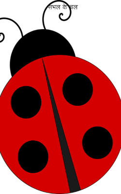 संभल के चल