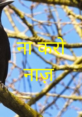 ना करो नाज़