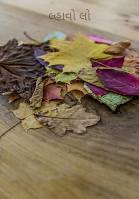 લ્હાવો લો