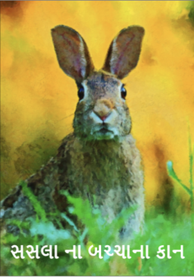 સસલા ના બચ્ચાના કાન