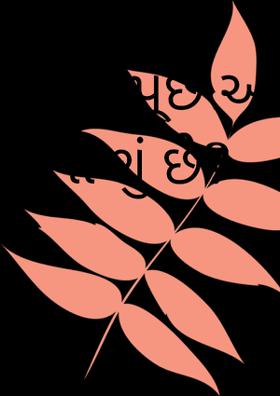 પક્ષીઓ પૂછે આ કોરોના શું છે?