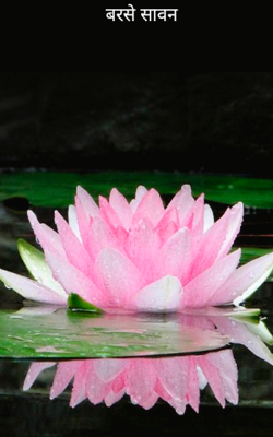 बरसे सावन