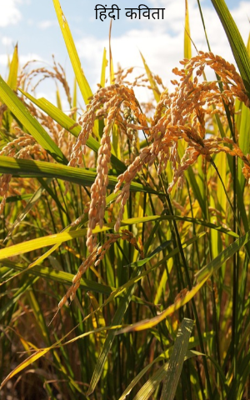 हिंदी कविता