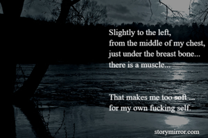 Slightly to the left,
from the middle of my chest,
just under the breast bone...
there is a muscle...


That makes me too soft ...
for my own fucking self.