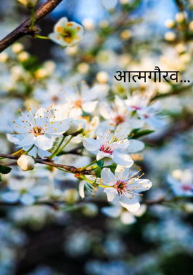 आत्मगौरव…