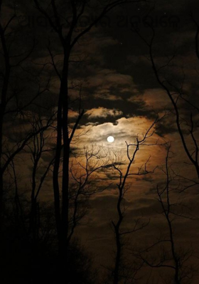 ଆସନ୍ନ ମୃତ୍ୟୁର ଅନ୍ତରାଳେ