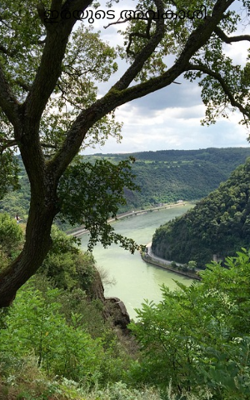 ഇരയുടെ അവകാശി