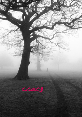 మరుజన్మకై