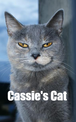 Cassie's Cat