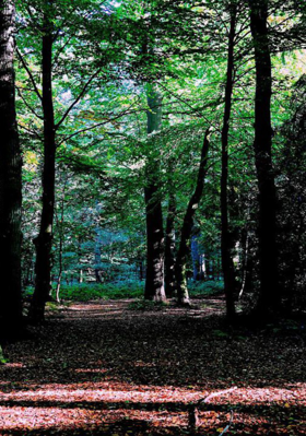 কৃষকের মৃত্যু