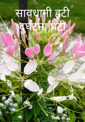 सावधानी हटी दुर्घटना घटी