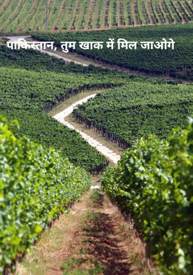 पाकिस्तान, तुम खाक में मिल जाओगे 