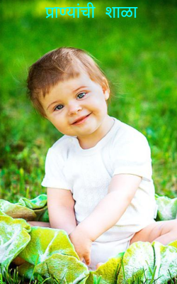 प्राण्यांची शाळा