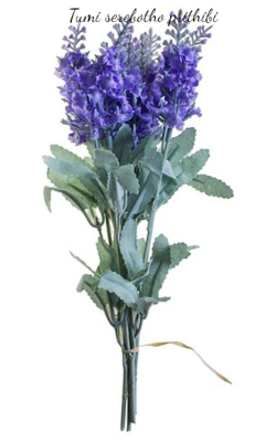 Tumi serebotho prithibi