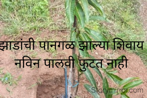 झाडांची पानगळ झाल्या शिवाय नविन पालवी फुटत नाही