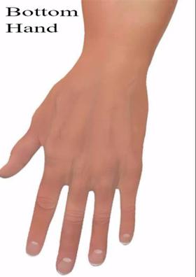 Bottom Hand