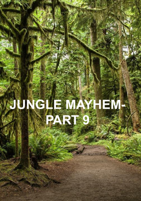Jungle Mayhem- Part 9