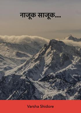 नाजूक साजूक...