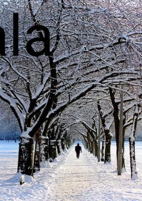 Playful And Funny Watchwala