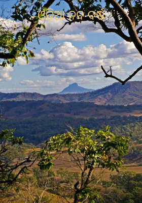 ଓଡ଼ିଆ ନବ ବର୍ଷ