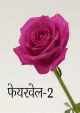 फेयरवेल-2
